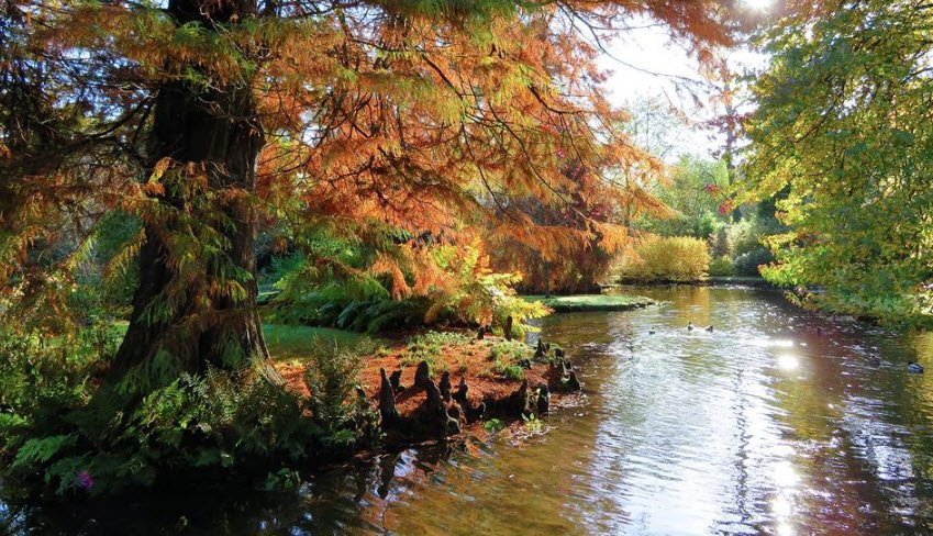 Longstock Park Water Gardens, Longstock Pk Rd, United Kingdom